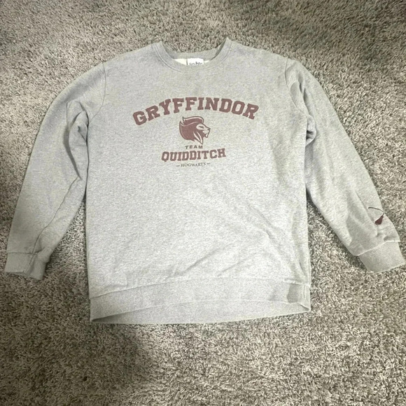 Harry Potter Gryffindor, Team Quidditch Hogwarts Sweatshirt. Used, Size Large! - Picture 1 of 8